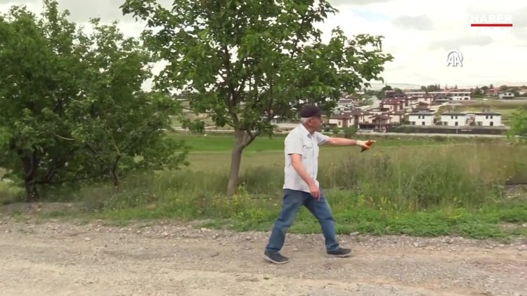 Yol kenarlarını diktiği meyve fidanlarıyla yeşillendiriyor