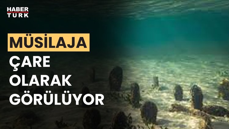 Marmara'da "Pina" sürprizi
