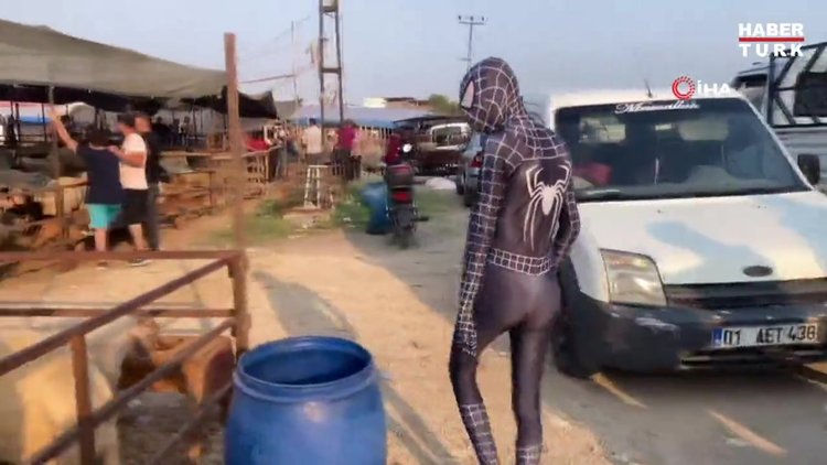 'Örümcek Adam' kurban pazarında