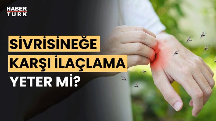 Sivrisineklerin sayısı neden arttı? Prof. Dr. Hüseyin Çetin yanıtladı