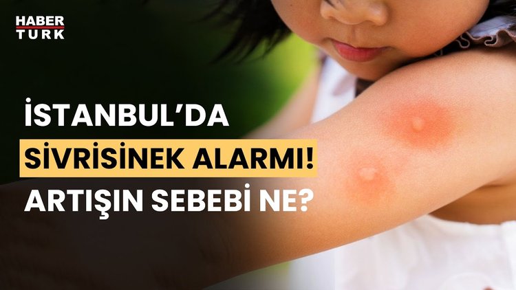 Sivrisinek istilası mı? İlaçlama mı yetersiz? Prof. Dr. Zekayi Kutlubay yanıtladı