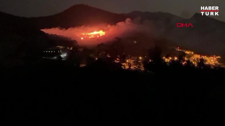 Siirt'te fıstık bahçesinde çıkan yagın, ormana da sıçradı