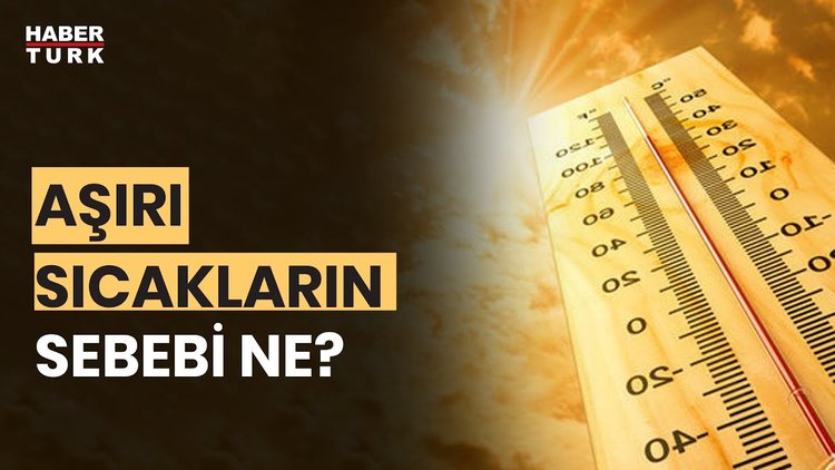 Bu yaz sıcaklık 50 derece üstüne çıkarsa ne yapmalıyız? Prof. Dr. Levent Kurnaz yanıtladı