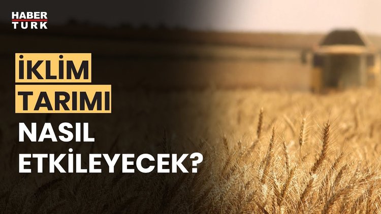 Küresel ısınma tarımda nasıl bir değişime neden oluyor? Mine Ataman yanıtladı