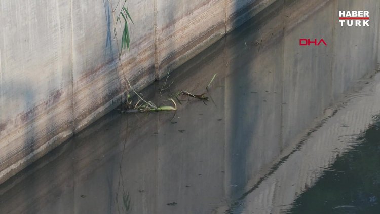 Silivri Elmalık deresi'nde kötü koku sinek şikayeti