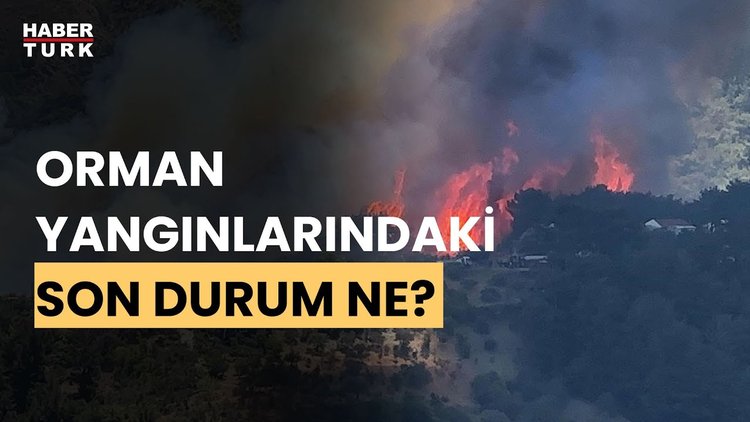 Hatay Belen'deki orman yangınında son durum ne? Tarım ve Orman Bakanı İbrahim Yumaklı aktardı