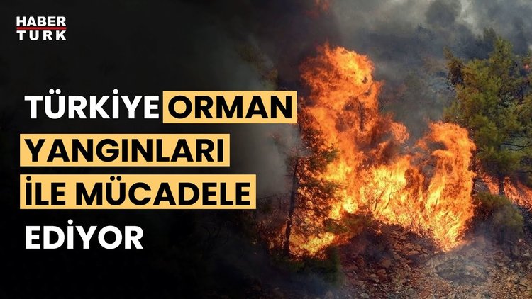 Hatay&#039;ın ardından 2 ilde daha orman yangını