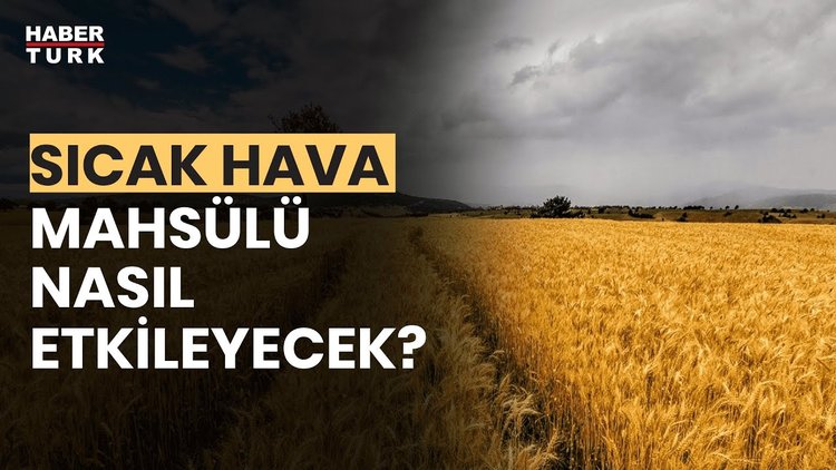 Aşırı sıcakların tarıma etkisi ne? İrfan Donat yanıtladı