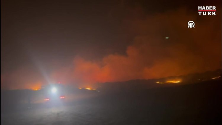 Lice ilçesinde çıkan orman yangınına müdahale ediliyor