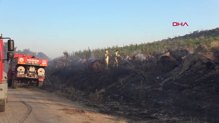 Çanakkale'de orman yangını; 37 saattir müdahele sürüyor