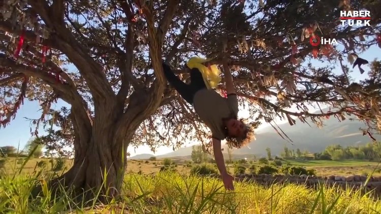 Profesörden orman yangınlarına karşı ilginç eylem: Dilek ağacına çaput yerine kendini bağladı