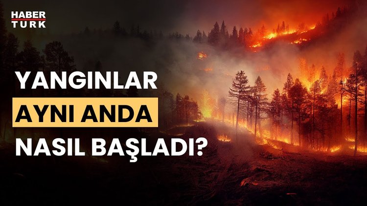 Orman yangınları neden ve nasıl arttı? Prof. Dr. Doğanay Tolunay değerlendirdi