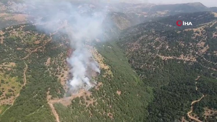 Alaşehir'de orman yangını: Havadan ve karadan müdahale ediliyor
