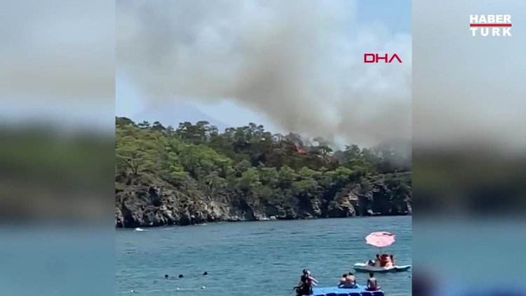 Muğla'da orman yangını