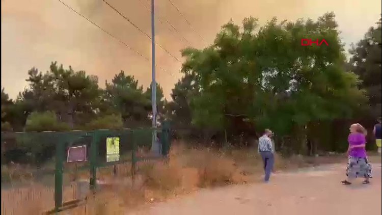 Sultangazi'de orman yangını