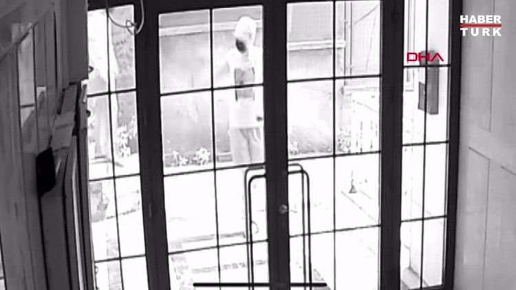 Şişli'de hırsızlık yaptıkları evden kediyi de çalıp kaçtılar