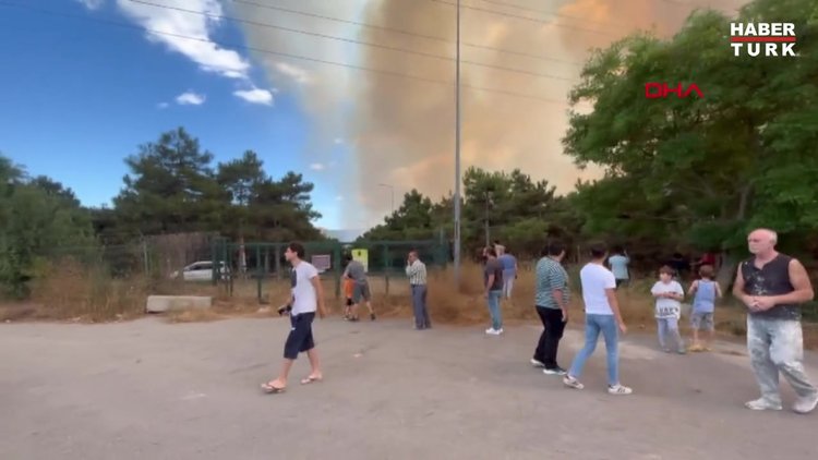 Sultangazi'de ormanlık alanda yangın çıktı