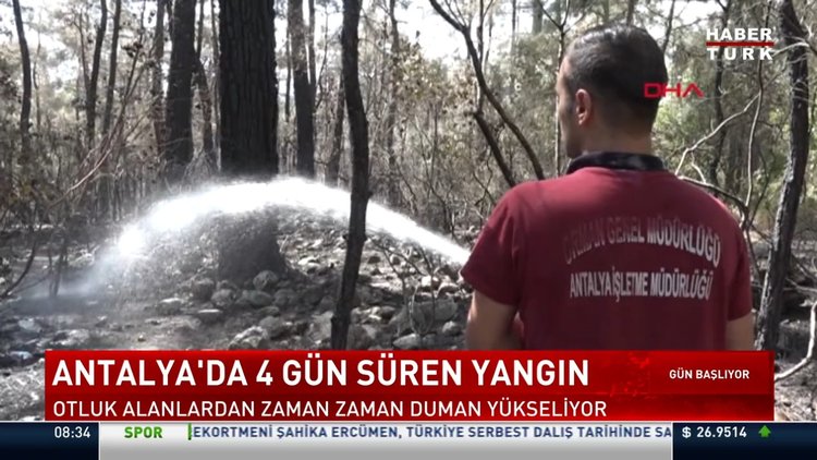 Yanan ormanda mücadele sürüyor