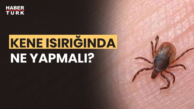 KKK hastalığı nasıl anlaşılır? Prof. Dr. İftihar Köksal yanıtladı