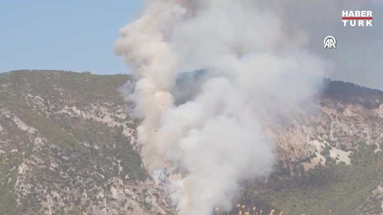 Muğla'da çıkan orman yangınına müdahale ediliyor