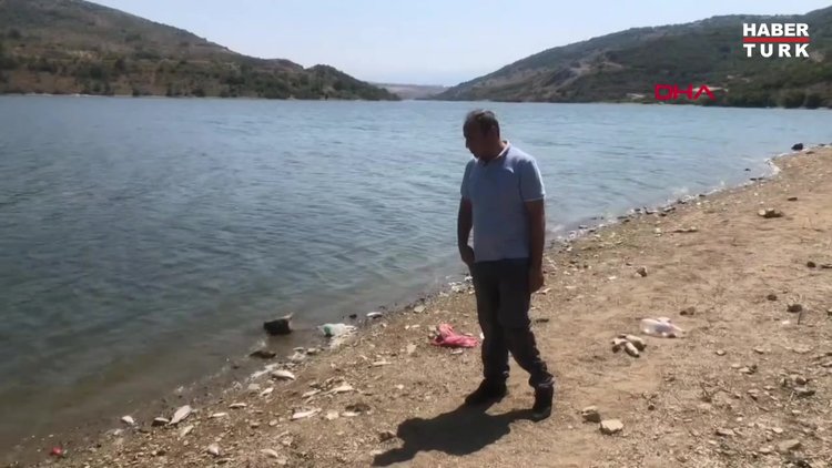 Boğazköy Barajı'nda ölü balıklar karaya vurdu