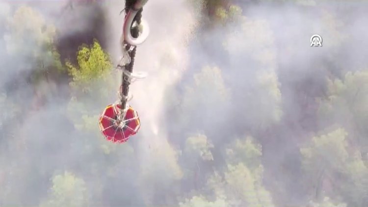 Antalya'nın Manavgat ilçesinde yangın çıktı