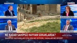 Türkiye'nin Nabzı - 22 Ağustos 2023 (Sahipsiz hayvanlar için barınaklar çözüm mü?)