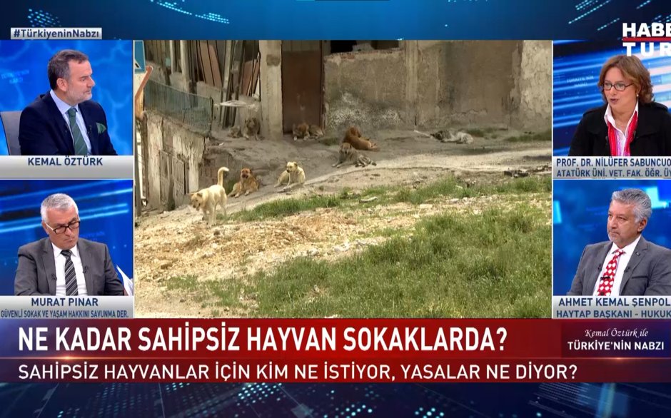 Türkiye'nin Nabzı - 22 Ağustos 2023 (Sahipsiz hayvanlar için barınaklar çözüm mü?)