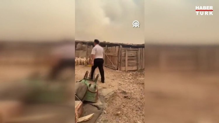 Jandarma ekipleri köyde yangından etkilenen hayvanları kurtardı