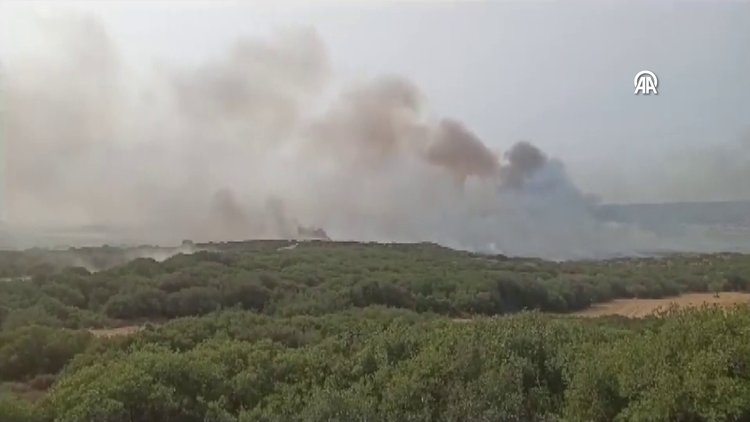 Gelibolu Yarımadasında makilik alanda yangın çıktı