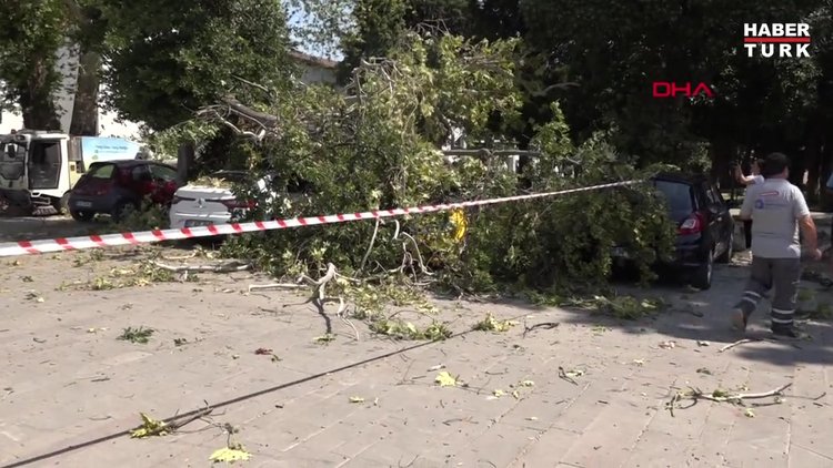 2 asırlık çınar ağacının kırılan dalları, 5 aracın üzerine düştü