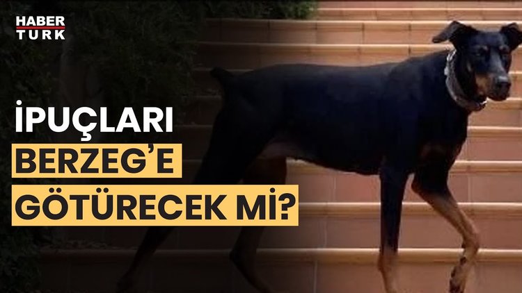 Tina ekipleri nasıl yönlendirir? Uğur Kurşun yanıtladı