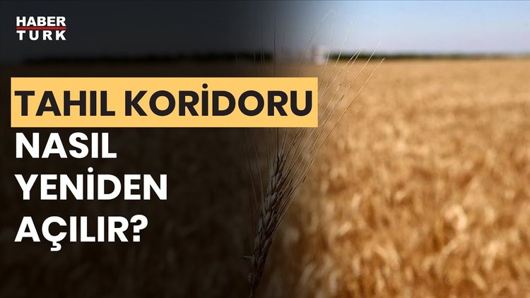 Tahıl krizi diplomasiyle aşılacak mı? Çetiner Çetin yanıtladı