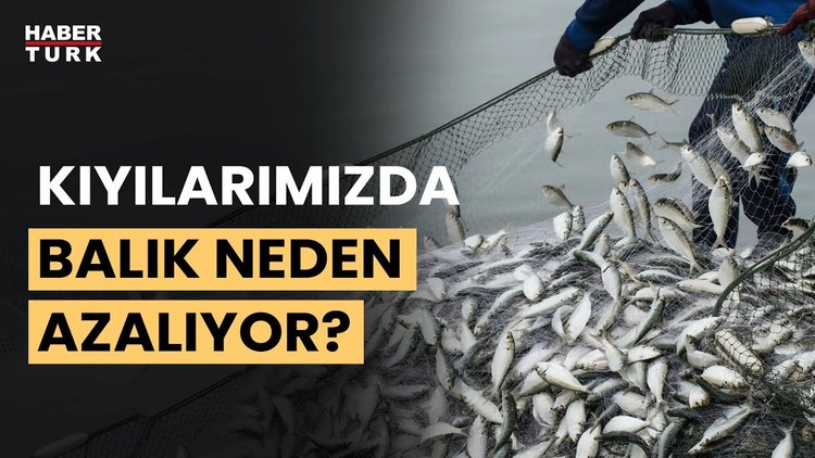 Avlanan balık sayısı neden azalıyor? Prof. Dr. Mehmet Gökoğlu yanıtladı