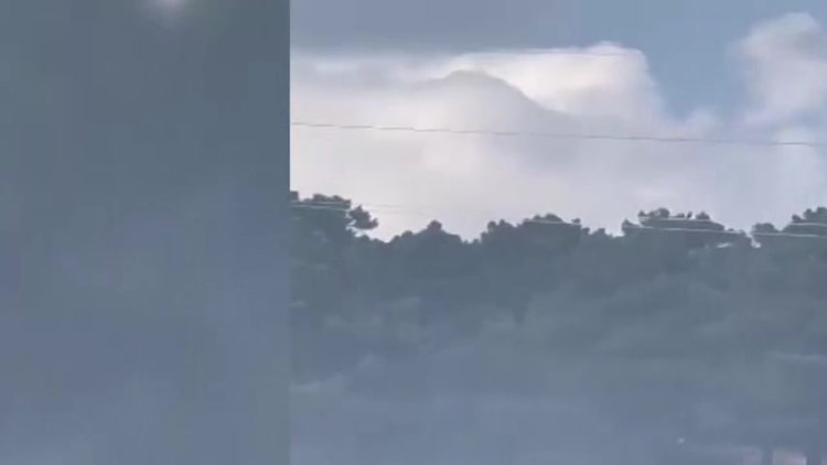 Sultangazi Kent Ormanı'nı yakıp kaçtılar iddiası