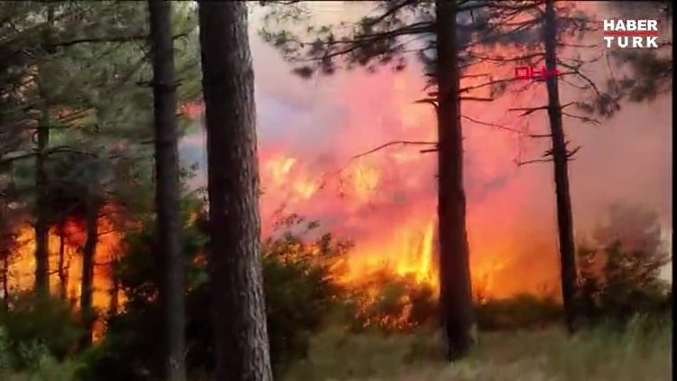 Sultangazi'de Kent Ormanı'nda yangın