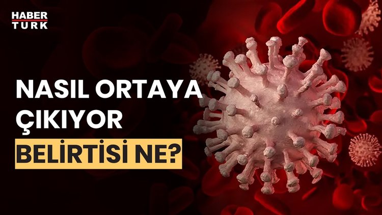 Sepsise yakalanıldığında ne yapmalı? Prof. Dr. Necmettin Ünal yanıtladı