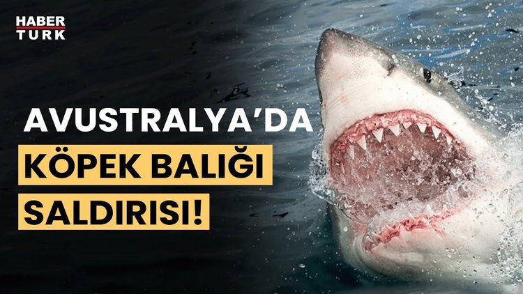 Köpek balıklarının saldırdığı 3 kişi kurtarıldı
