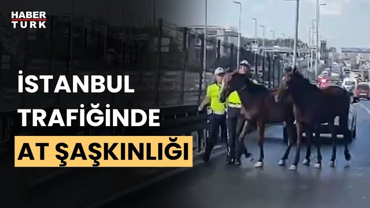 İstanbul&#039;da şaşkına çeviren görüntü: 2 başıboş at trafiği birbirine kattı