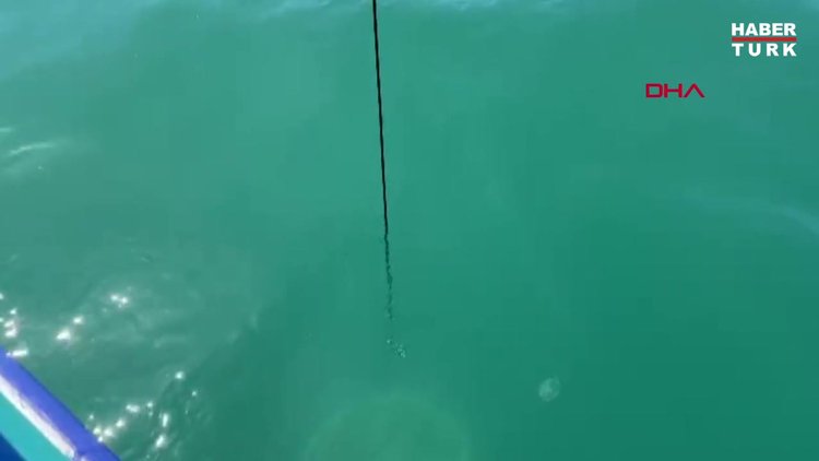 Karadeniz'de deniz suyu sıcaklığında 4 derece artış