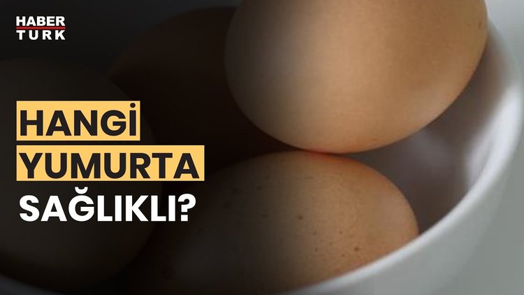  Yumurta alırken neye dikkat edilmeli? Prof. Dr. Mustafa Tayyar yanıtladı