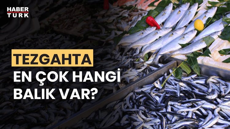 Balık tezgahlarında fiyatlar nasıl?