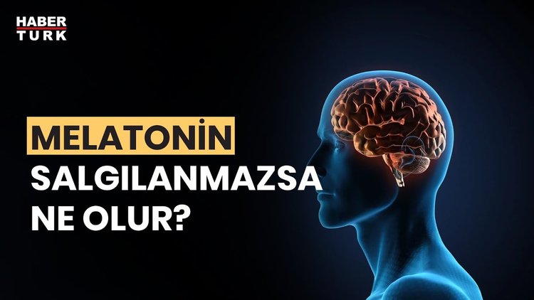 Beyin salgıları ne işe yarıyor? Prof. Dr. Derya Uludüz yanıtladı