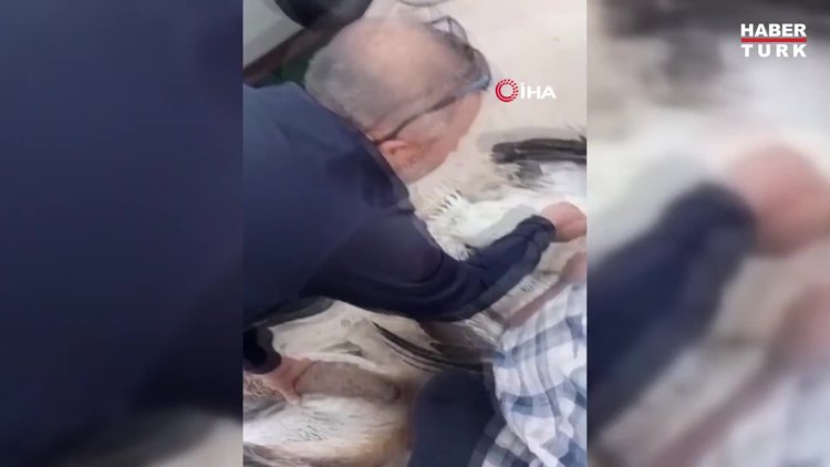 Oltaya takılan pelikanları balıkçılar kurtardı