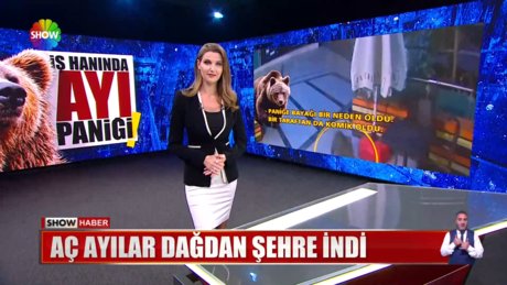 Video poster resmi
