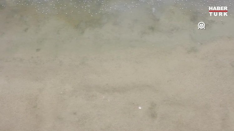 İstanbul'daki 10 barajdan 3ü "alarm" veriyor