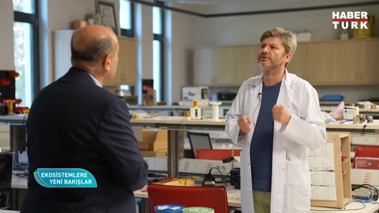 Ekosistemlere Yeni Bakışlar - 18 Kasım 2023 (İnmenin yarattığı felçten kurtulma olanağı var mı?)