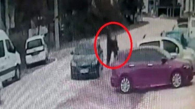 Doktor, kiracısına baltayla saldırdı