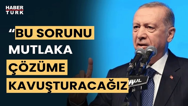 Cumhurbaşkanı Erdoğan'dan başıboş köpek açıklaması!