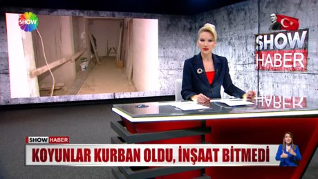 Video poster resmi